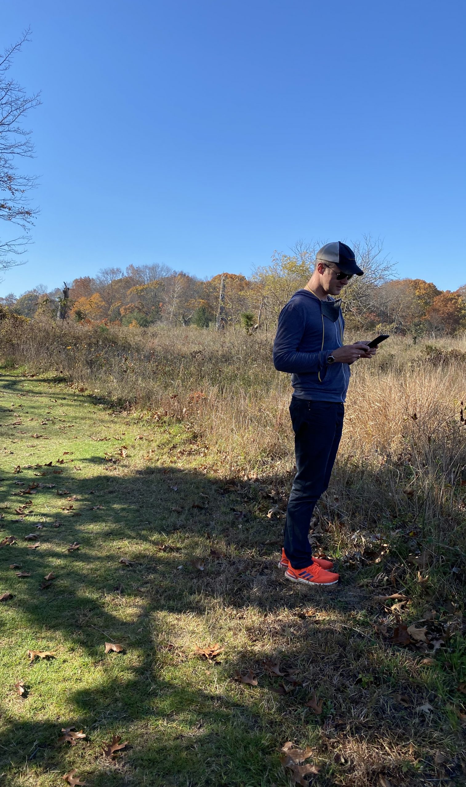 A man shaded by a tree with a smart phone.