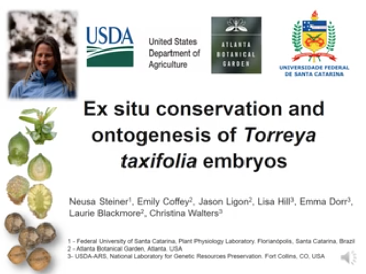 Screenshot of Ex situ Conservation and Ontogenesis of Torreya taxifolia Embryos video