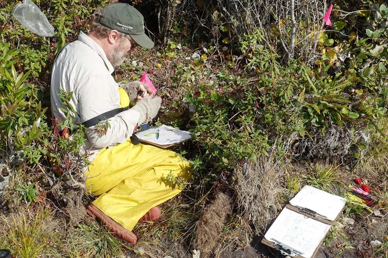 A man sitting among plants collecting data.