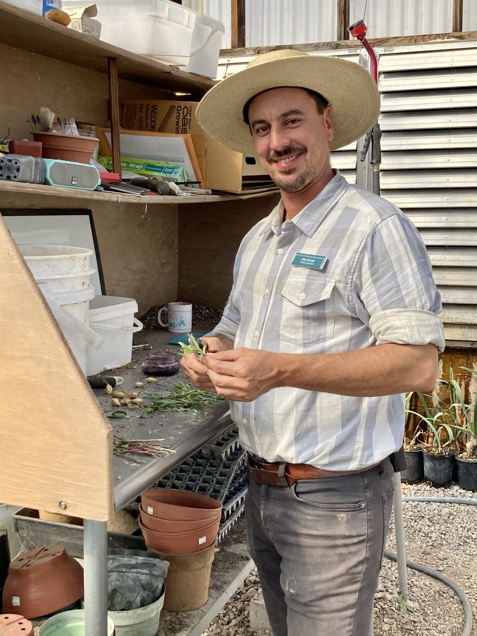 Man in hat stands in nursery with plant cuttings in his hand