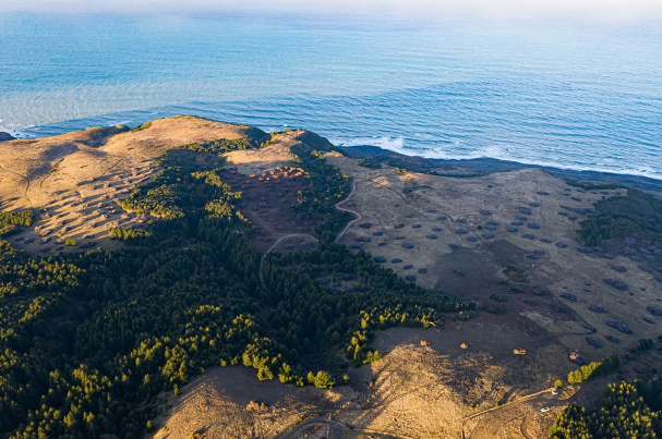 Aerial view of the California coastline