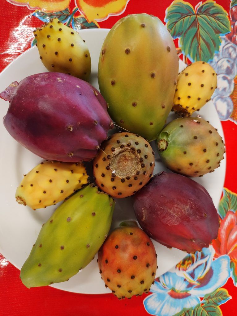 A plate of cactus fruits (tunas) in various shapes and colors