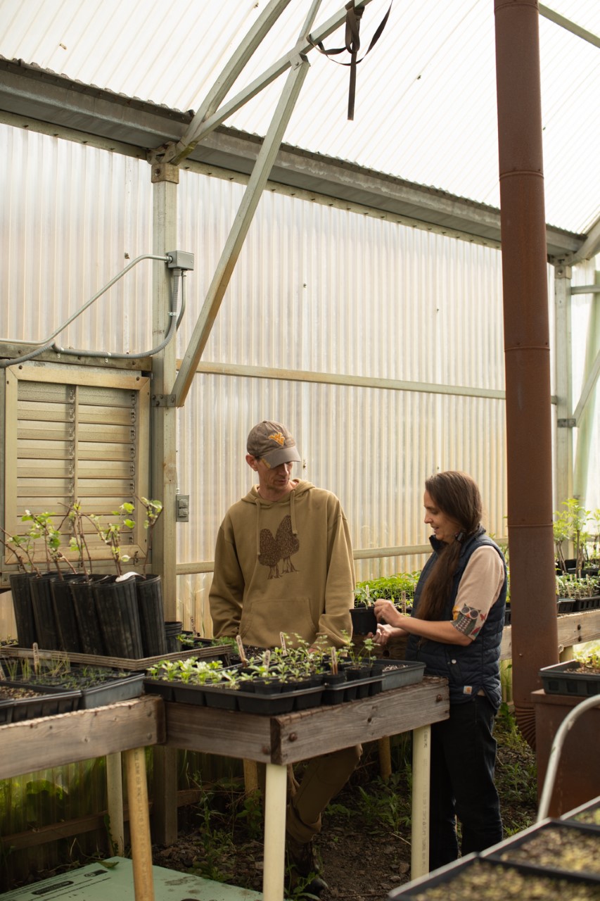 Image of a man and a woman checking on some seedlings in a greenhouse.