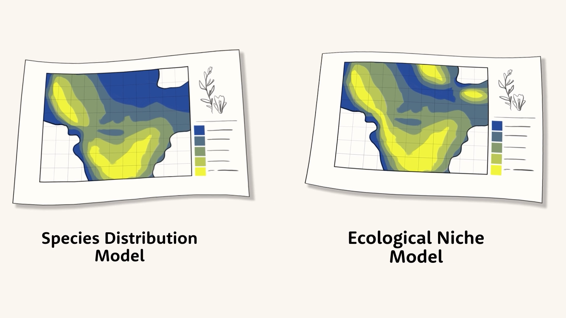 Species Distribution Models vs. Ecological Niche Models - Center for ...