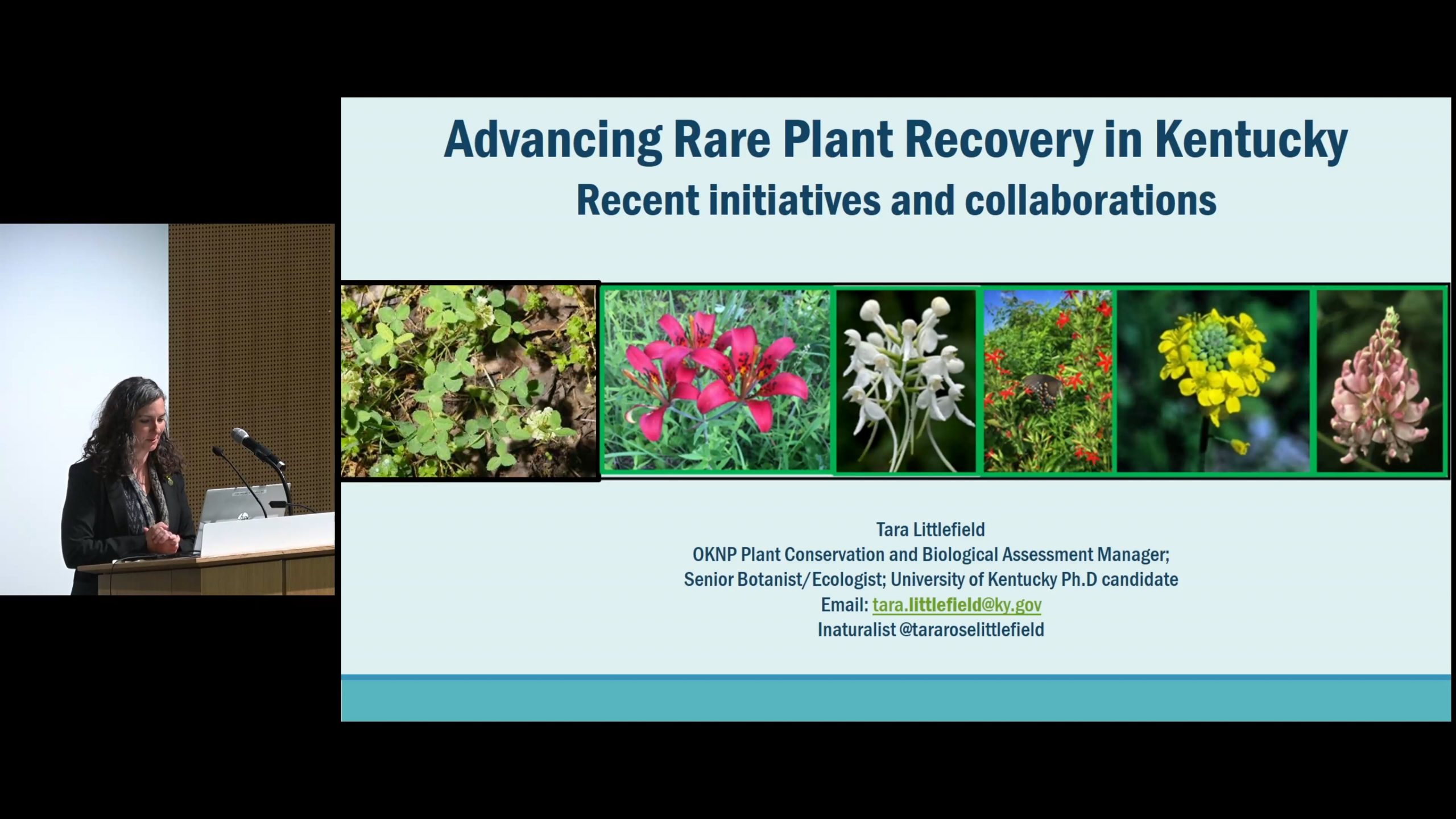 Advancing Rare Plant Recovery in Kentucky: Recent Conservation Initiatives and Collaborations - Center for Plant Conservation